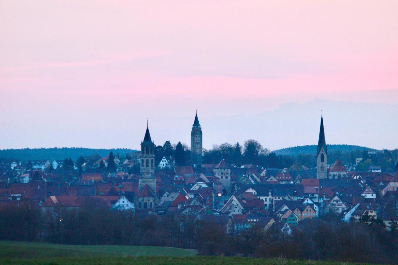 Vier Sind Hier Apartments Rottweil Exteriör bild